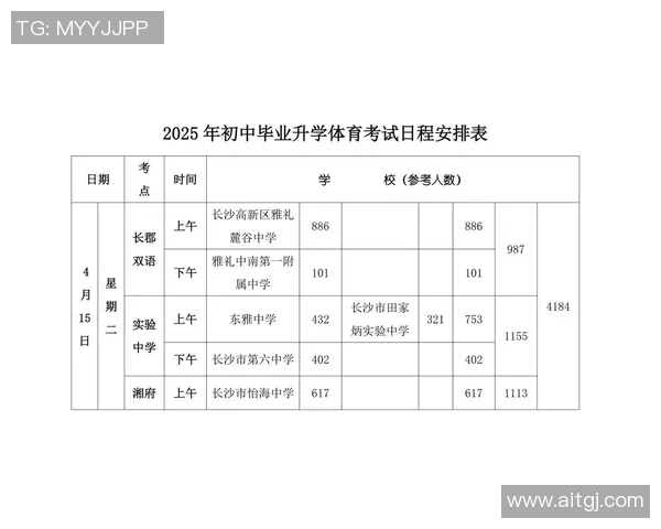 以赛程为核心,全面解析赛事安排与时间节点的合理布局