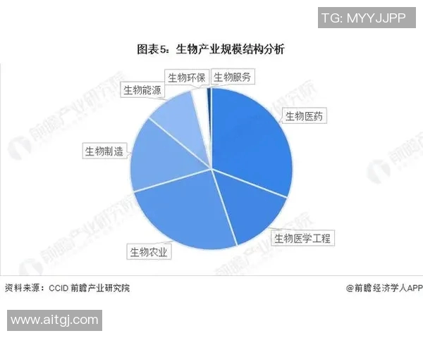 竞技体育的多元发展趋势与未来前景分析探索