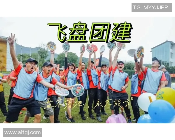 飞盘战术揭秘：深入解析北京飞盘队的进攻策略与团队配合技巧